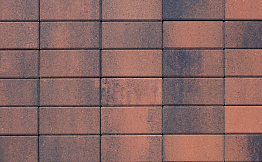 Плитка тротуарная Прямоугольник (Ла-Линия) А.2.П.4 Листопад гладкий Клинкер 200*100*40 мм