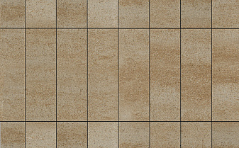 Плитка тротуарная Прямоугольник (Ла-Линия) Б.12.П.8 Искусственный камень, степняк, 750*250*80 мм