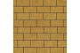 Плитка тротуарная SteinRus Прямоугольник Лайн В.6.П.8 Native, желтый, 200*100*80 мм