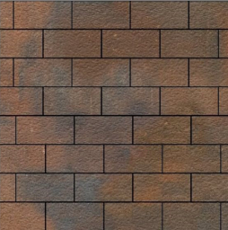 Плитка тротуарная SteinRus Прямоугольник А.6.П.4, Old-age, ColorMix Штайнрус, 200*100*40 мм