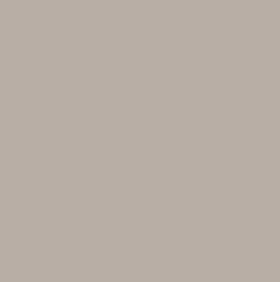 HPL-панель PoliLam Colors Mouse Grey LA, 3050*1220*10 мм
