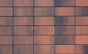 Плитка тротуарная Прямоугольник (Ла-Линия) Б.2.П.8 Листопад гладкий Клинкер 200*100*80 мм