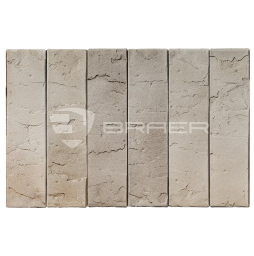 Кирпич BRAER PRO 72.03 с утолщенной стенкой, 250*120*65 мм
