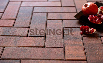 Плитка тротуарная Steingot Color Mix, Паркет, Клинкер, 240*80*60 мм