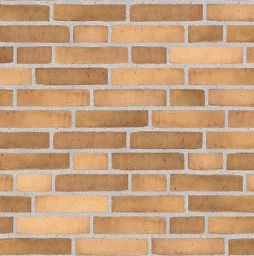 Кирпич облицовочный Randers Tegl Prima RT495, 228*108*54 мм