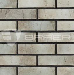 Кирпич BRAER PRO 72.03 с утолщенной стенкой, 250*120*65 мм